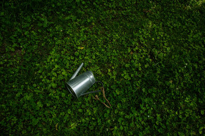 High angle view of electric lamp on green plants