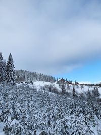Snow covered land against sky