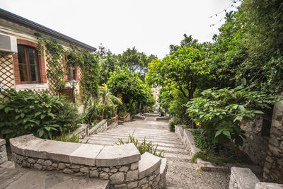 Trees and plants growing in garden