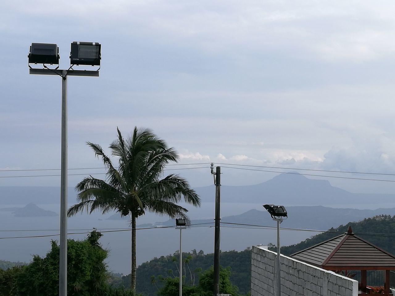 PALM TREES AND SKY