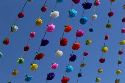 Low angle view of multi colored flowers hanging against blue sky