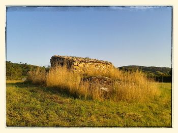 Grassy field against clear sky