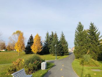 Road amidst trees against sky during autumn