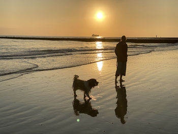 Dogs running at beach against sky during sunset