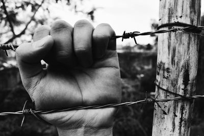 Close-up of hand holding barbed wire fence