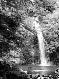 Scenic view of waterfall