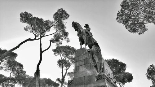 Low angle view of trees against sky