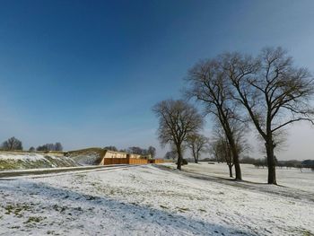 Bare trees on snow covered field against sky