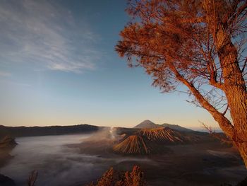 A trip up the hill to see the beauty of mount bromo tengger semeru, east java, indonesia