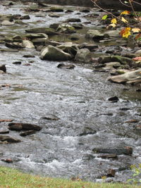 Close-up of water