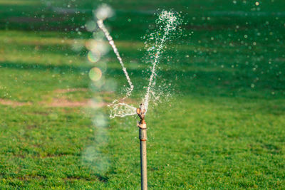 Close-up of umbrella on golf course