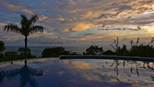 Palm trees by swimming pool against sky during sunset