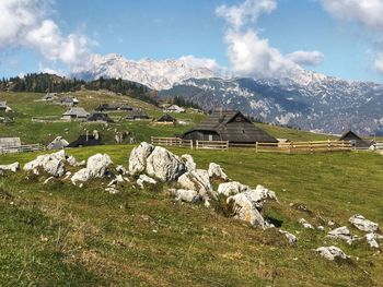 Scenic view of field by houses against sky