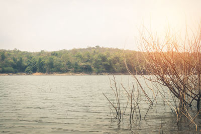 Scenic view of lake against clear sky