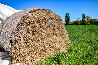 Hay bales on field against sky