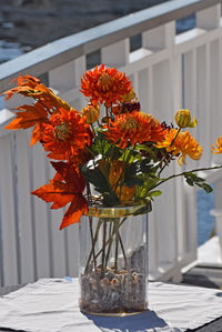 flowering plant