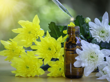 Close-up of drink on table