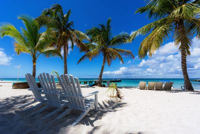 Palm trees on beach against clear blue sky