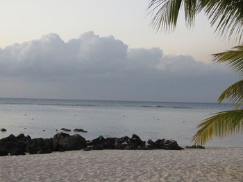 Scenic view of calm sea