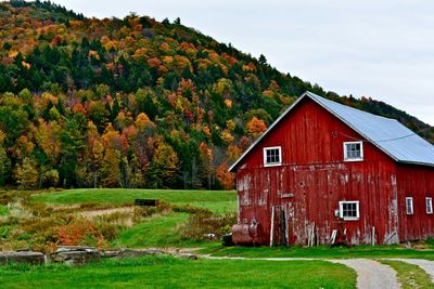 House on grassy field near tree mountain