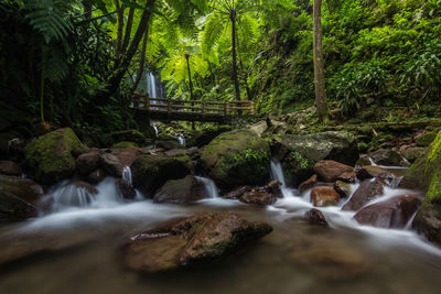 Scenic view of waterfall in forest