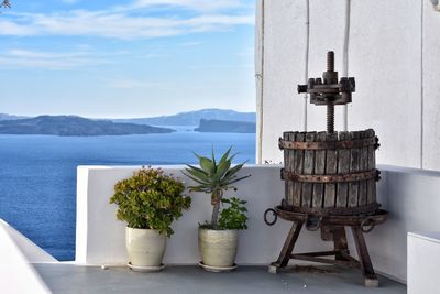 Potted plants on table by sea against sky