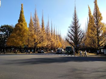 Trees by road in city against sky