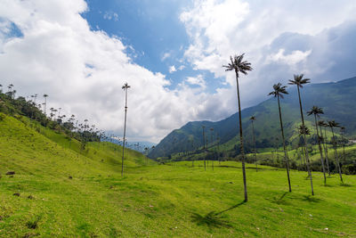 Scenic view of field and mountains against sky