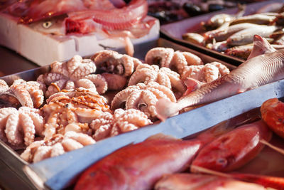 Boxes full of freshly caught mackerel fish and octopus. marsaxlokk market, malta.