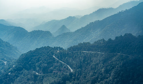 High angle view of trees on mountains