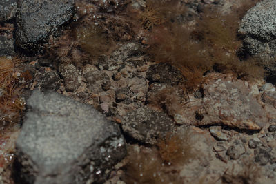 Full frame shot of rocks