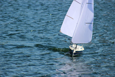 Sailboat on sea