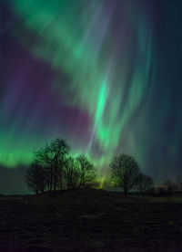 Scenic view of trees against sky at night