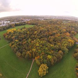 High angle view of trees on landscape against sky