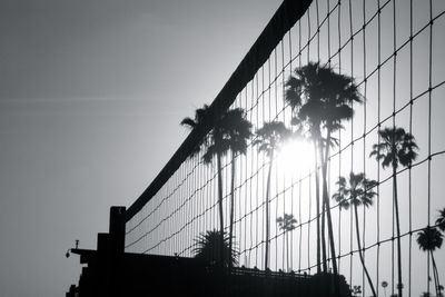 Low angle view of beach volleyball net and silhouette palm trees against clear sky