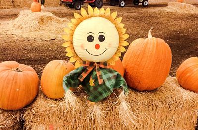 Close-up of pumpkins in store