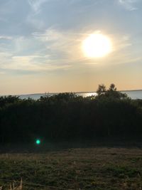 Scenic view of field against sky during sunset