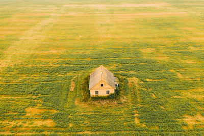 Aerial view of the beautiful green paddy field with an old abandoned village wooden house.