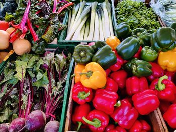 High angle view of vegetables .winter vegetables, on amsterdam biological market on saturdays .