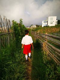 Rear view of man walking on field against sky