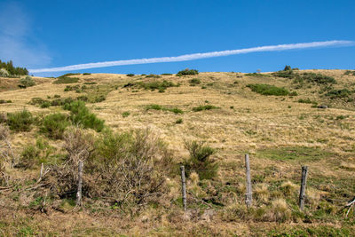Scenic view of field against blue sky
