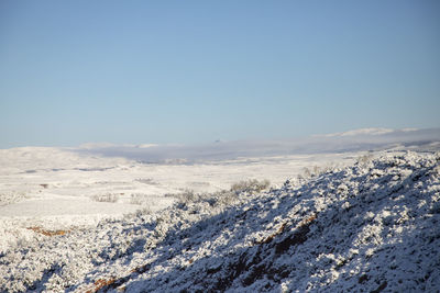 winter