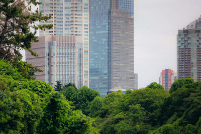 Trees and modern buildings in city against sky
