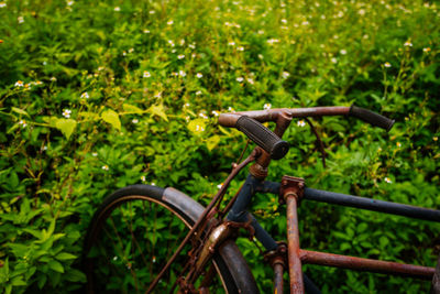 Bicycle wheel on field