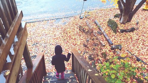 Rear view of child moving down on steps during autumn