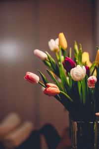 Close-up of pink tulip flowers in vase