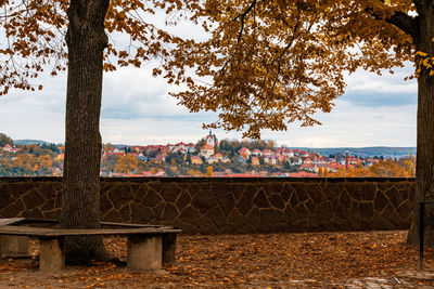 Trees by plants against sky during autumn