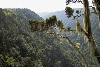 Scenic view of mountains