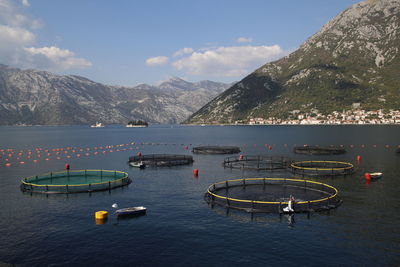 Fish farming in montenegro