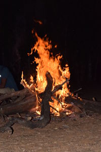 Bonfire on wooden log at night